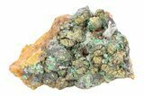 Clearance Lot: Sparkling Rosasite & Galena Clusters - Pieces #291995-1